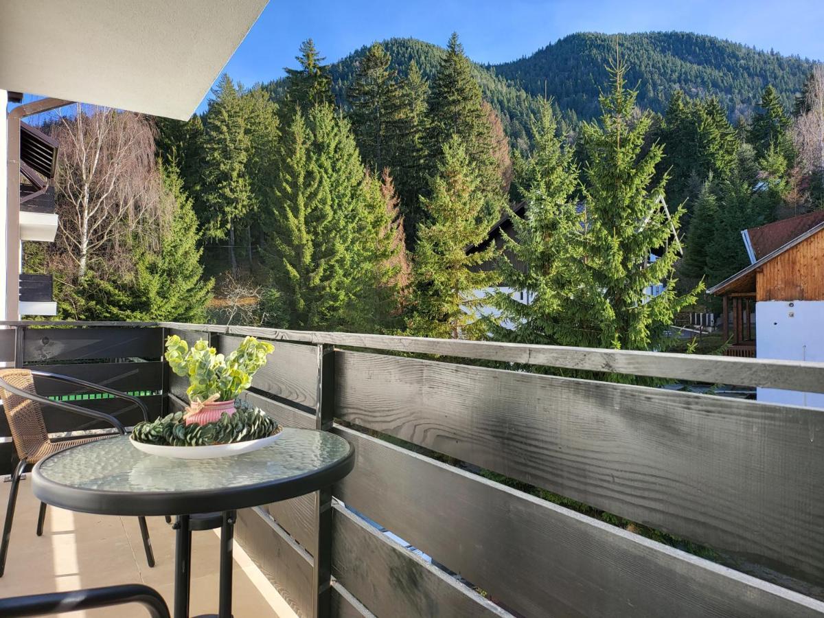 Dinvis Apartments Poiana Brașov Zewnętrze zdjęcie